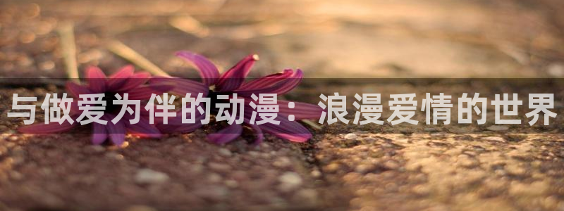 动漫天堂下载正版