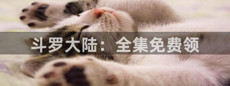 jk动漫天堂